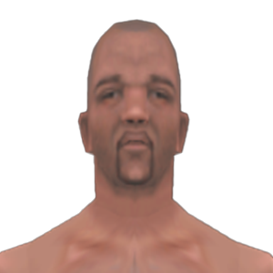 Skin ID 81 Skin ID 81